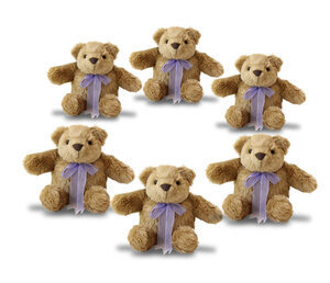 Comfort Cub (Case of Six: 10% Savings!)